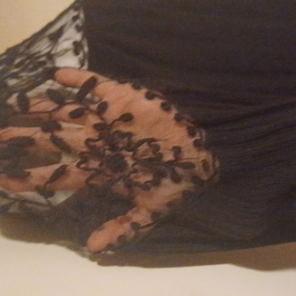 F21 Embroidered Mesh Babydoll - Picture 5 of 8